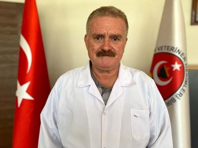 Avrupadan sonra Türkiyede de görüldü Mavi Dil Hastalığı nedir İnsanlara bulaşır mı Türkiyede yayılma riski var mı