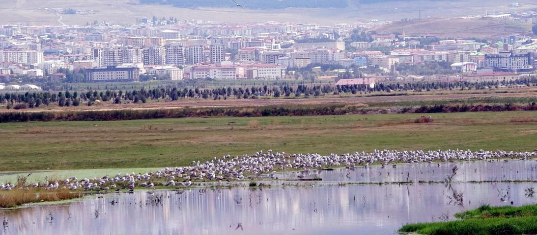 HAVA DURUMU İSTANBUL, ANKARA, İZMİR… 6 Ekim 2024 Pazar günü hava nasıl olacak
