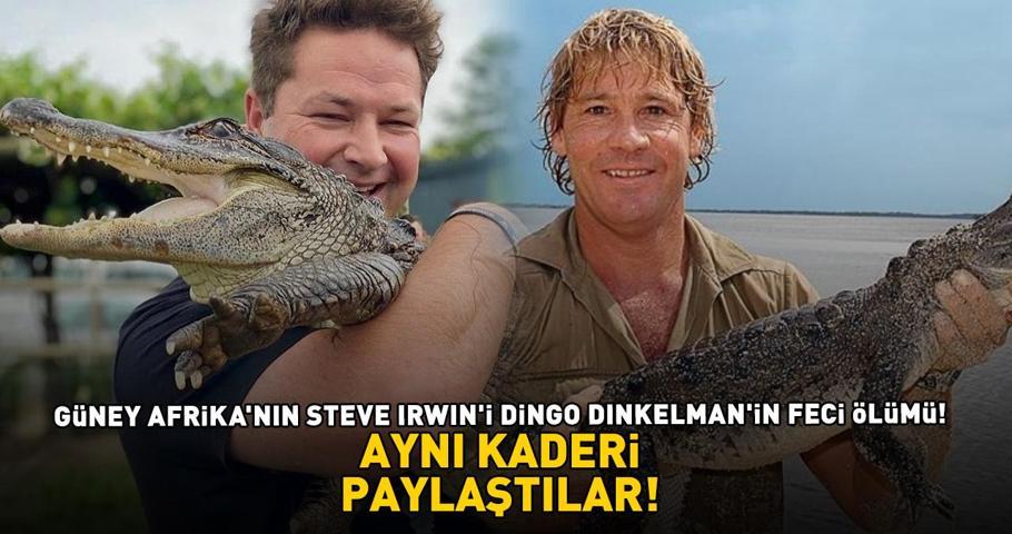 Güney Afrikanın Steve Irwini Dingo Dinkelmanin feci ölümü AYNI KADERİ PAYLAŞTILAR