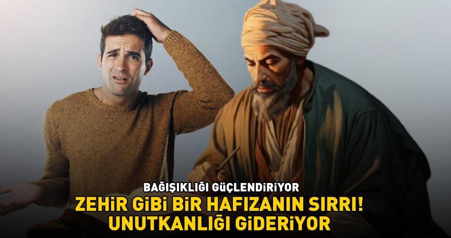 ZEHİR GİBİ BİR HAFIZANIN SIRRI İbn-i Sinanın şifa reçetesi: Unutkanlığı gideriyor, bağışıklığı güçlendiriyor
