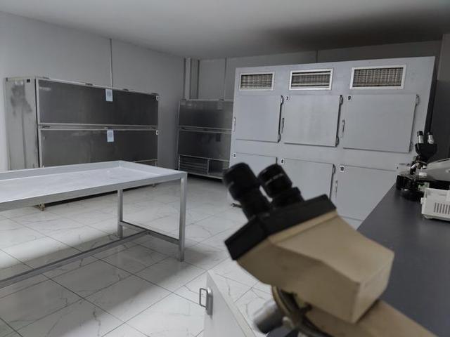 Öldükten sonra organlarınıza bunlar oluyor TikTok fenomeni morg teknisyeni tek tek açıkladı Duyan Keşke bunu bilmeseydim dedi