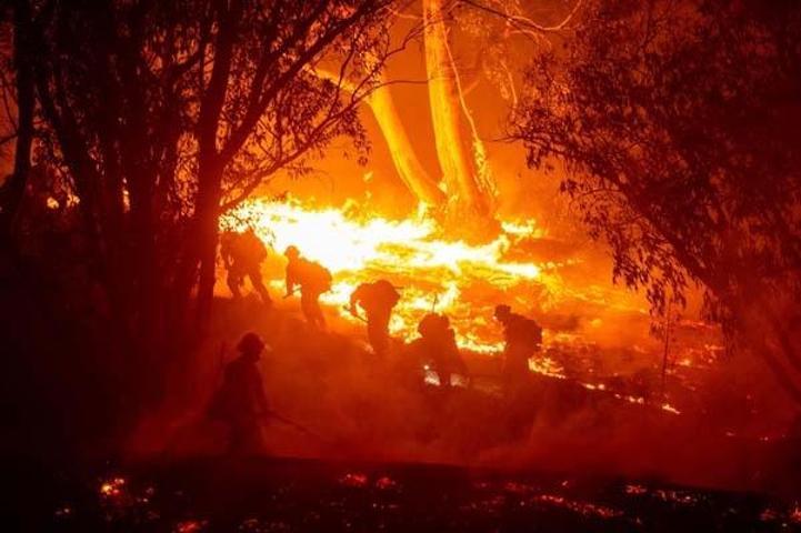California’da Orman Yangını Felaketi: Pacific Palisades Alevlere Teslim | Son Dakika