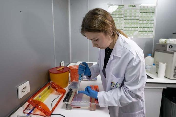 Karaciğer Yağlanması, Obezite ve Diyabete Çare Olabilir 6 Ay Yemeden Ve İçmeden Toprak Altında Yaşıyorlar: Patates Böcekleri...