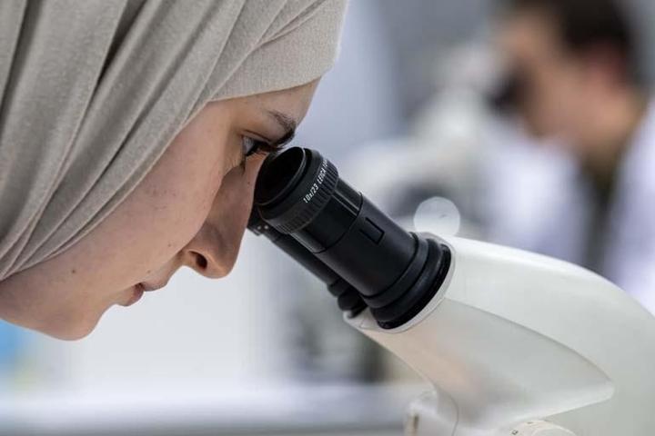 Karaciğer Yağlanması, Obezite ve Diyabete Çare Olabilir 6 Ay Yemeden Ve İçmeden Toprak Altında Yaşıyorlar: Patates Böcekleri...