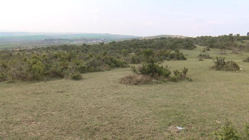 Arnavutköyde insana ait kafatası bulundu