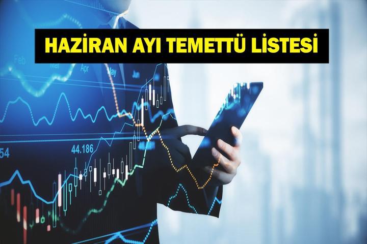HAZİRAN AYI TEMETTÜ TAKVİMİ: 2025 Haziran Ayı Temettü Veren Hisseler Neler Bu Hisseler Ne Kadar Temettü Dağıtacak Türk Hava Yolları, BİM, Turkcell, BIMAS, ENKAI...