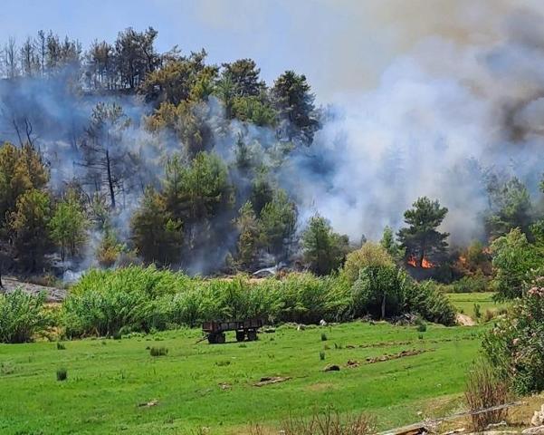 ANTALYA ORMAN YANGINI SON DURUM: Antalya ili orman yangınları (Aksu, Muratpaşa, Manavgat, Gazipaşa) söndürüldü mü