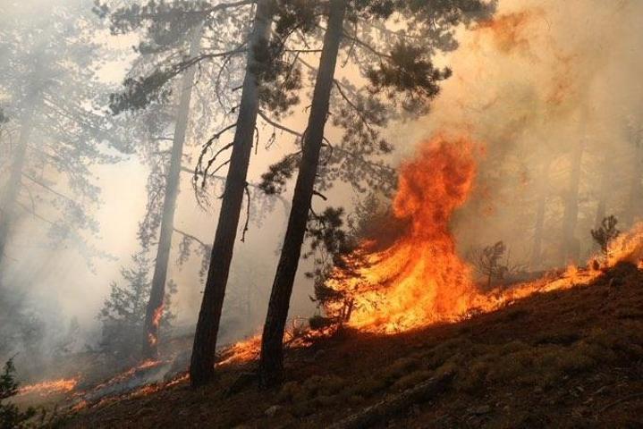 ANTALYA ORMAN YANGINI SON DURUM: Antalya ili orman yangınları (Aksu, Muratpaşa, Manavgat, Gazipaşa) söndürüldü mü