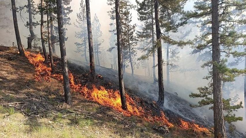 ANTALYA ORMAN YANGINI SON DURUM: Antalya ili orman yangınları (Aksu, Muratpaşa, Manavgat, Gazipaşa) söndürüldü mü