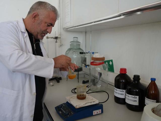 Iğdır Üniversitesinde üretildi: Cilt kanserine neden olan lekelerde bile etkili