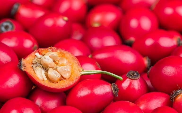 100 Gramında 1 Portakala Eşdeğer C Vitamini Var Soğuk Algınlığı ve Gribe Birebir... Doğada Kendiliğinden Yetişiyor