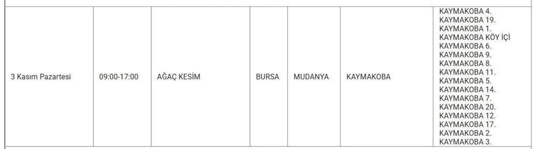 UEDAŞ BURSA ELEKTRİK KESİNTİSİ 3 KASIM: Bursada Elektrikler Ne Zaman Gelecek Hangi İlçelerde Elektrik Yok