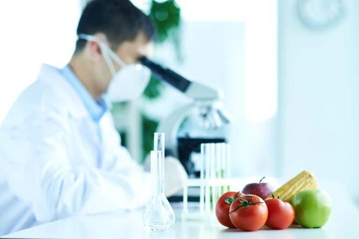 GIDALARDAKi KiMYASAL TEHDİT Hormon Bozukluğundan Obeziteye Tetiklemediği Hastalık Yok