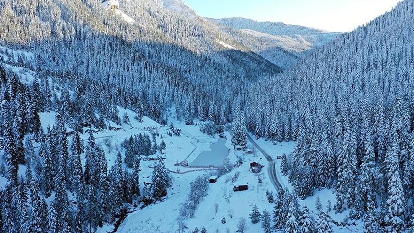 Doğanın büyüleyici resmi Deresökü Orman Parkında kartpostallık manzaralar