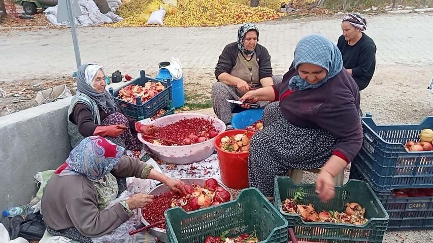 Tarladan Sofraya Nar Ekşisi... 5 Yıl Bozulmadan Tüketebiliyorlar 90 Yaşındaki Şerife Akkan: Her Şeyin Doğalı Şifa Kaynağıdır