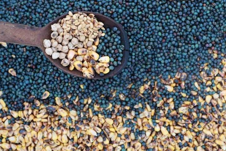 Asırlık Lezzet Şifa Saçıyor Hem Protein ve Lif Deposu Hem de Kansızlığın Doğal İlacı Kış Aylarında Kana Kan Katıyor, Enerjiyi Tavan Yaptırıyor