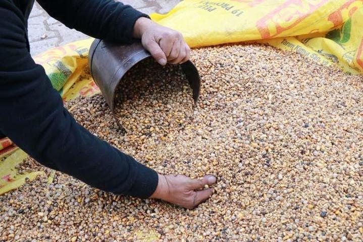 Asırlık Lezzet Şifa Saçıyor Hem Protein ve Lif Deposu Hem de Kansızlığın Doğal İlacı Kış Aylarında Kana Kan Katıyor, Enerjiyi Tavan Yaptırıyor