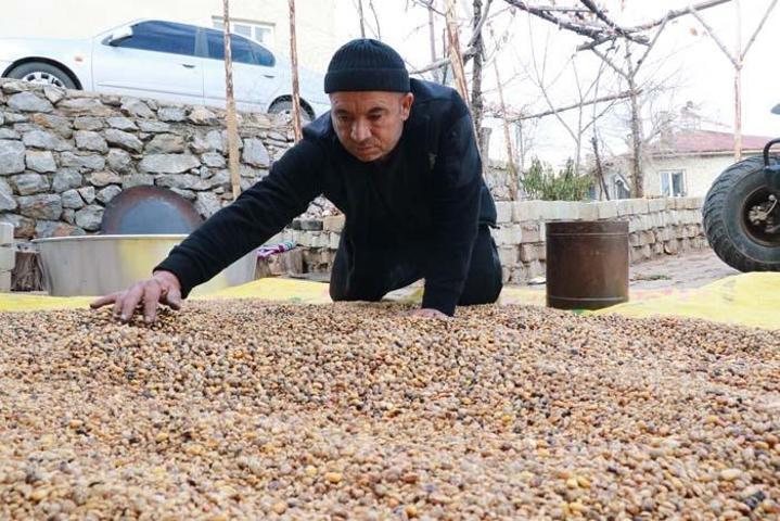 Asırlık Lezzet Şifa Saçıyor Hem Protein ve Lif Deposu Hem de Kansızlığın Doğal İlacı Kış Aylarında Kana Kan Katıyor, Enerjiyi Tavan Yaptırıyor