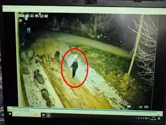 Kayıp kadını arama çalışmaları 11’inci gününde: Nimet Kılıç nerede