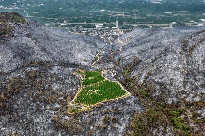 Yılın Basın Fotoğraflarında Demirören Medyaya 5 ödül