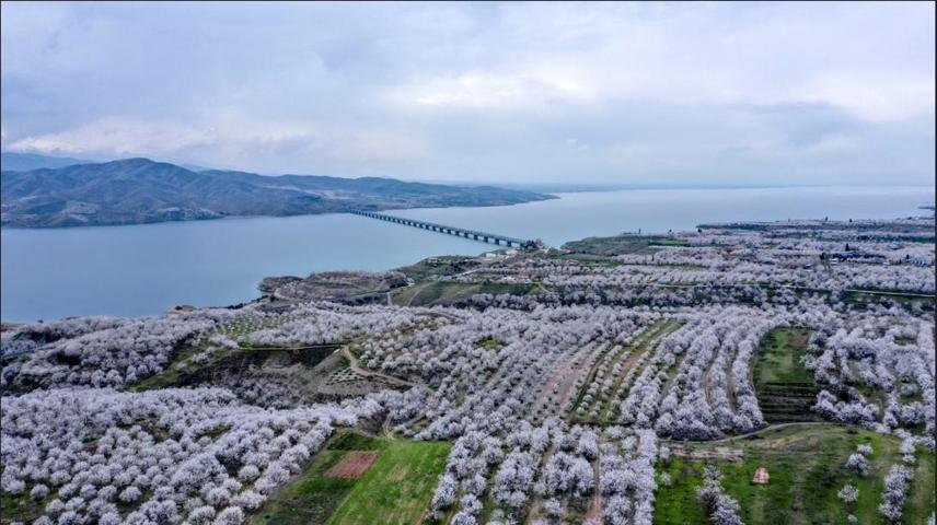Ne İzmir Ne De Bodrum Nefes Kesen Görüntüler