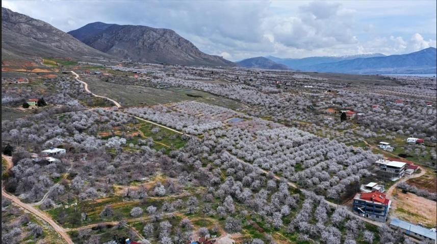 Ne İzmir Ne De Bodrum Nefes Kesen Görüntüler