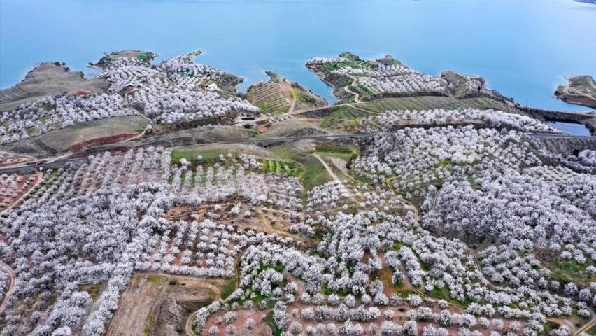 Ne İzmir Ne De Bodrum Nefes Kesen Görüntüler