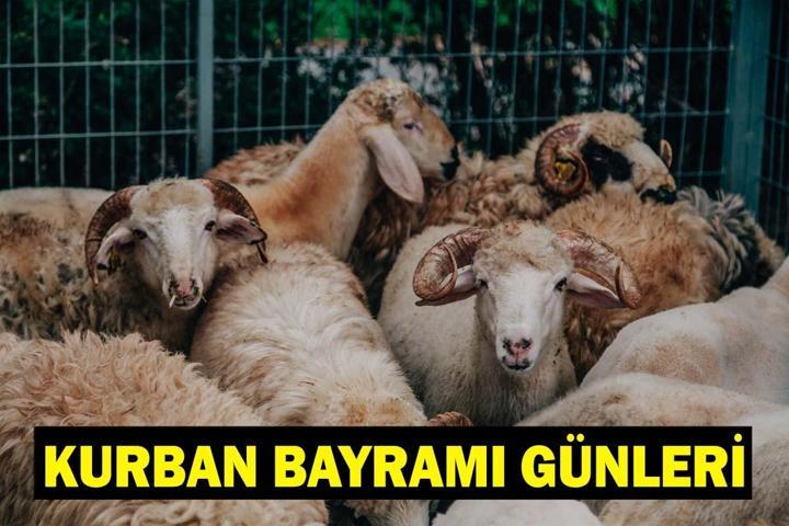 BAYRAM TATİLİ NE ZAMAN BAŞLIYOR Bayrama kaç gün kaldı Kurban Bayramı tatili ne zaman