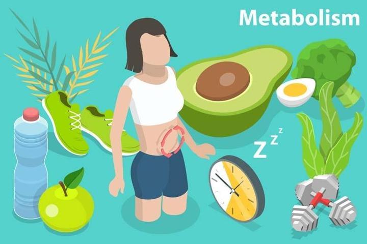 KİLO VERDİREN ŞAŞIRTAN ÜÇLÜ Yağ Yakımını Hızlandıran Beslenme Formülü Ortaya Çıktı Metabolizmayı Adeta Ateşliyor