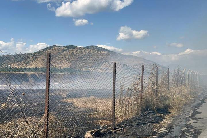 Ciğerlerimiz yanıyor: İzmirde peş peşe yangın
