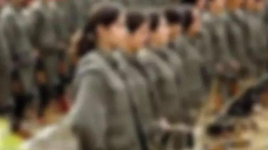Terörsüz Türkiye yasası kabul edildi: İşte bundan sonraki yol haritası Silahlar nasıl bırakılacak