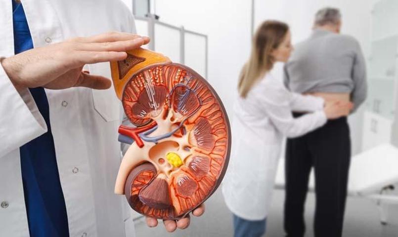 LİMONLU SU BÖBREK TAŞINI ÖNLER Mİ Sıcak Havalarda Böbrek Taşı Riskine Dikkat Böbrek Taşı Neden Olur Böbrek Taşını Tetikleyen Besinler ve Böbrek Taşından Korunma Yolları...