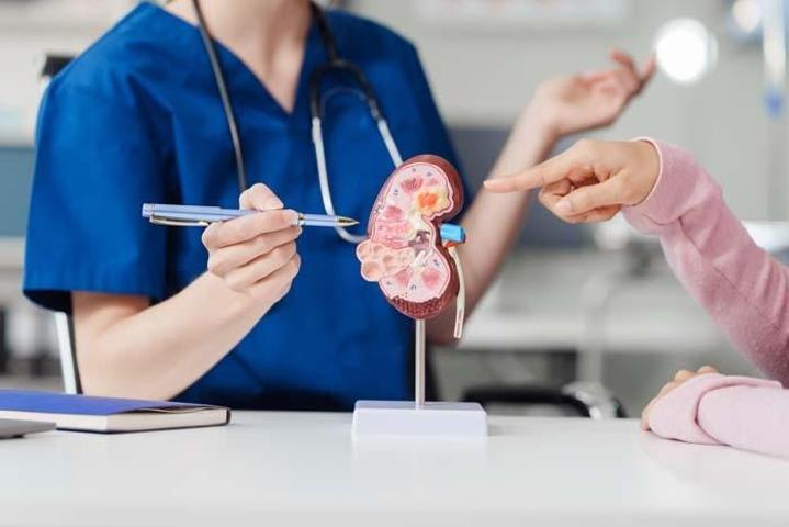 LİMONLU SU BÖBREK TAŞINI ÖNLER Mİ Sıcak Havalarda Böbrek Taşı Riskine Dikkat Böbrek Taşı Neden Olur Böbrek Taşını Tetikleyen Besinler ve Böbrek Taşından Korunma Yolları...