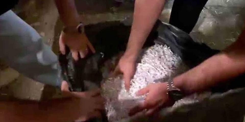 Arif Ahmet Denizolgundan kalan şirketi ele geçirmeye çalışmış Alihan Kurişin miras oyunu mahkemeye takıldı