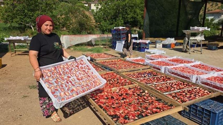 Aydından dünyaya yayılan lezzet: İncir Cipsi