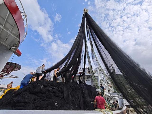 Tezgahlarda palamut şöleni: Balık fiyatları ne olacak