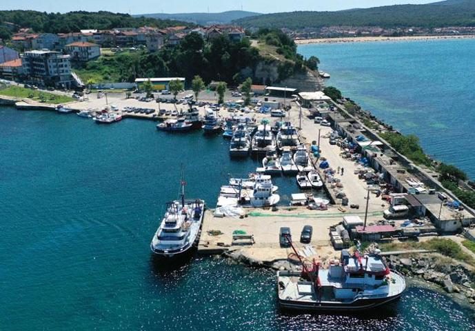 Tezgahlarda palamut şöleni: Balık fiyatları ne olacak