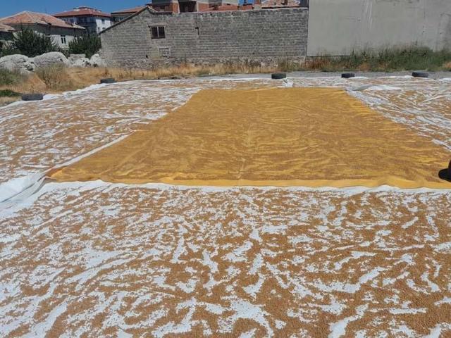 ASIRLIK GELENEK Saatlerce Kaynatılıyor, Günlerce Kuruması Bekleniyor Hem Tüketiyor Hem de Satıyorlar... İşte O Lezzet