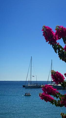 Eylülde rüya gibi tatil Yunanistanın eşsiz cenneti Aegina Adasında gezilecek yerler Atinaya 30 dakika uzaklıkta