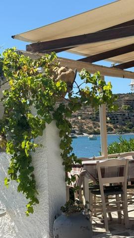 Eylülde rüya gibi tatil Yunanistanın eşsiz cenneti Aegina Adasında gezilecek yerler Atinaya 30 dakika uzaklıkta