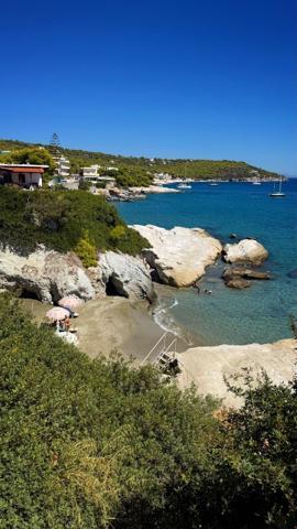 Eylülde rüya gibi tatil Yunanistanın eşsiz cenneti Aegina Adasında gezilecek yerler Atinaya 30 dakika uzaklıkta