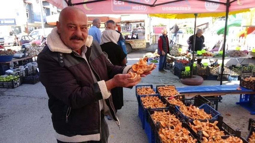 Herkes ormandan toplayıp yiyor: Artan mantar zehirlenmeleriyle ilgili uzmanından önemli uyarılar