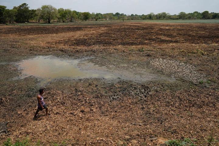 El Nino hızla güçleniyor Zirve noktasına ulaşacağı tarih açıklandı…