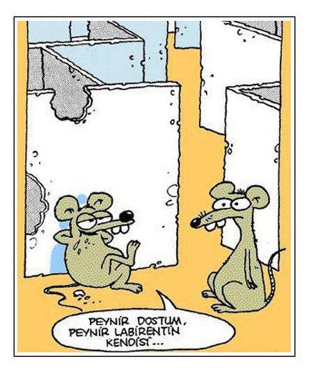 Felsefi karikatürler...