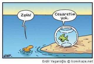 Felsefi karikatürler...