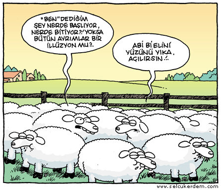 Felsefi karikatürler...