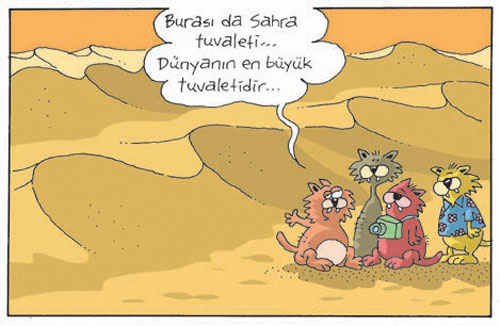 Felsefi karikatürler...