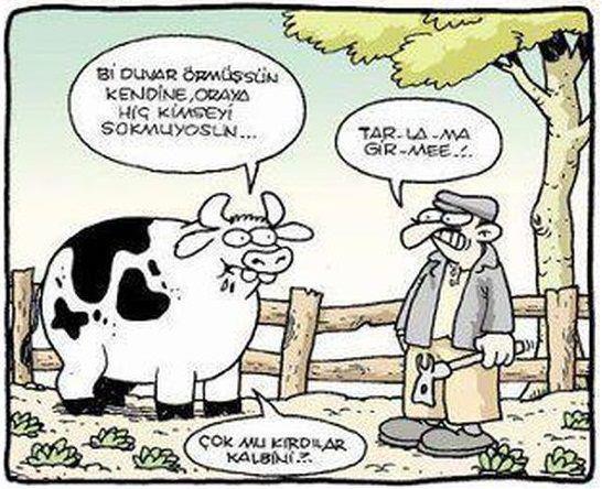 Felsefi karikatürler...