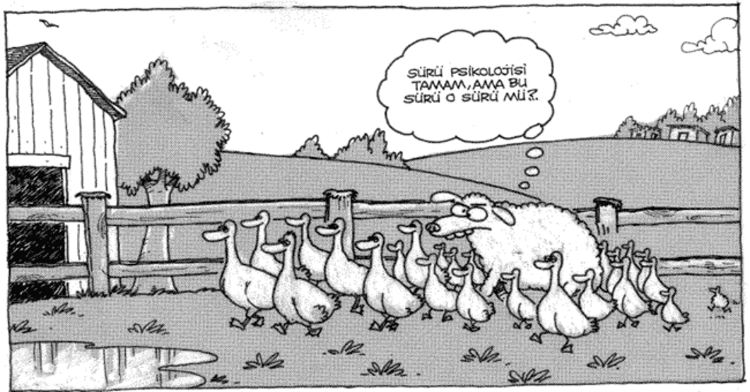 Felsefi karikatürler...