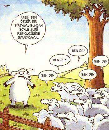 Felsefi karikatürler...